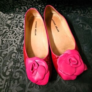 Antonio Melani ballet Rosa flats